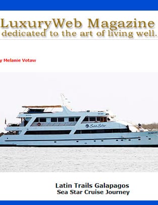 Luxury Web Magazine